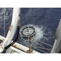 Marine Techn! ology New Product Lights - case study cables in underwater missions